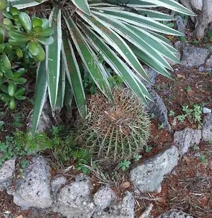 Casa Gazzano * Imperia