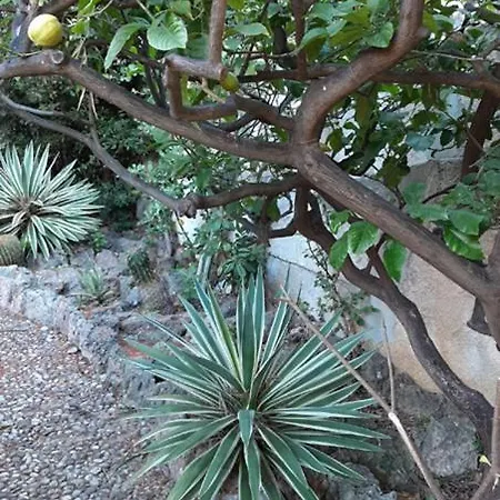 Casa Gazzano Tatil Evi