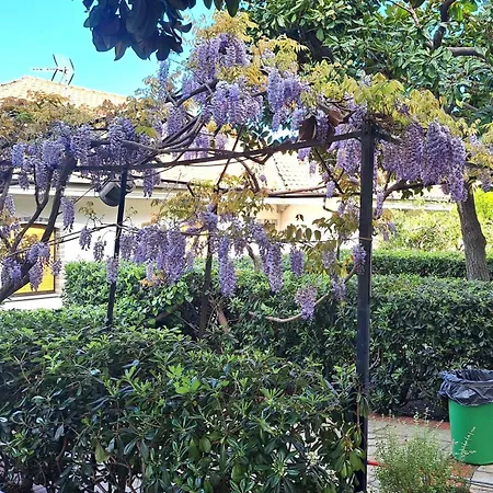 Tatil Evi Casa Gazzano *