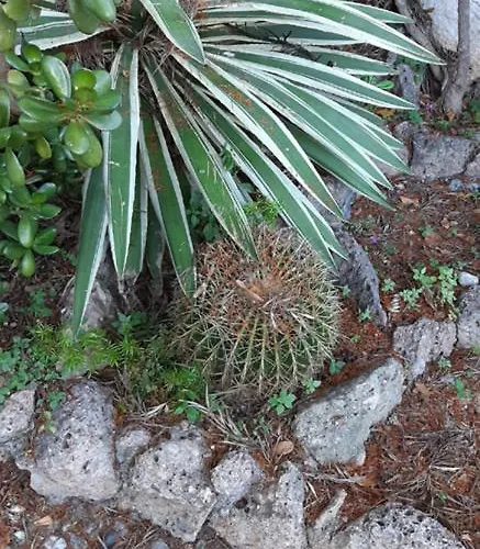 Casa Gazzano * Imperia