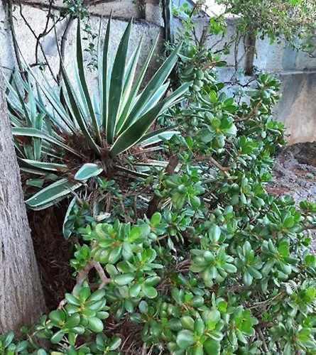 Casa Gazzano Semesterbostad Imperia