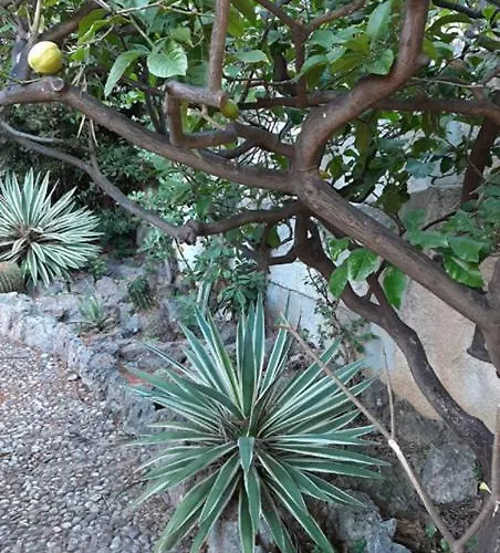 Casa Gazzano Semesterbostad