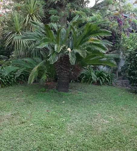 Semesterbostad Casa Gazzano *