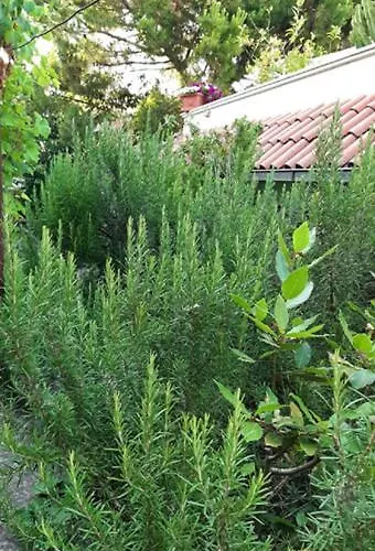 Semesterbostad Casa Gazzano *