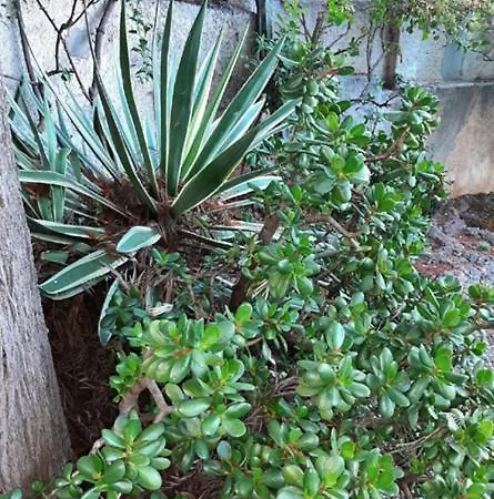 Casa Gazzano בית נופש אימפריה
