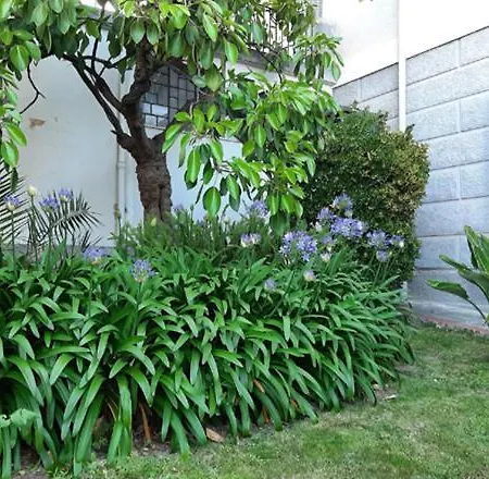 Holiday home Casa Gazzano Imperia