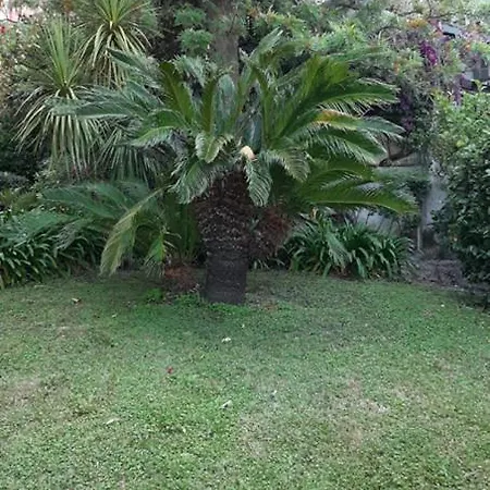 Prázdninový dům Casa Gazzano *