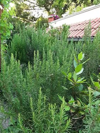 בית נופש Casa Gazzano *