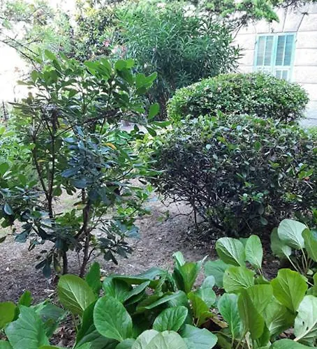 Casa Gazzano בית נופש